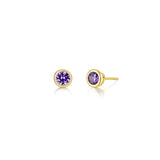 February Bezel Birthstone Earrings