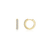 Alexa Huggie Earrings