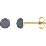 14K Yellow Gold 4-4.5 mm Cultured Black Freshwater Button Pearl Earrings